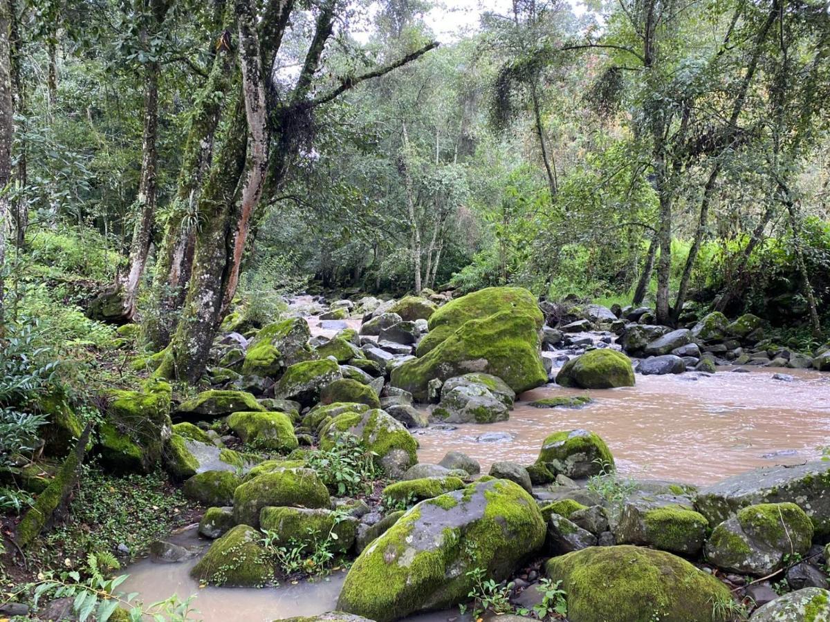 Rancho Campestre Virgen Del Rio Hotell Zacatlán Exteriör bild